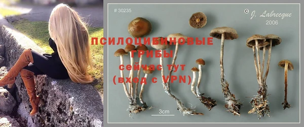 марки nbome Беломорск